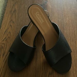 Catherine Malandrino Miyaki Leather Block Heel Slide Sandal, size 8.5